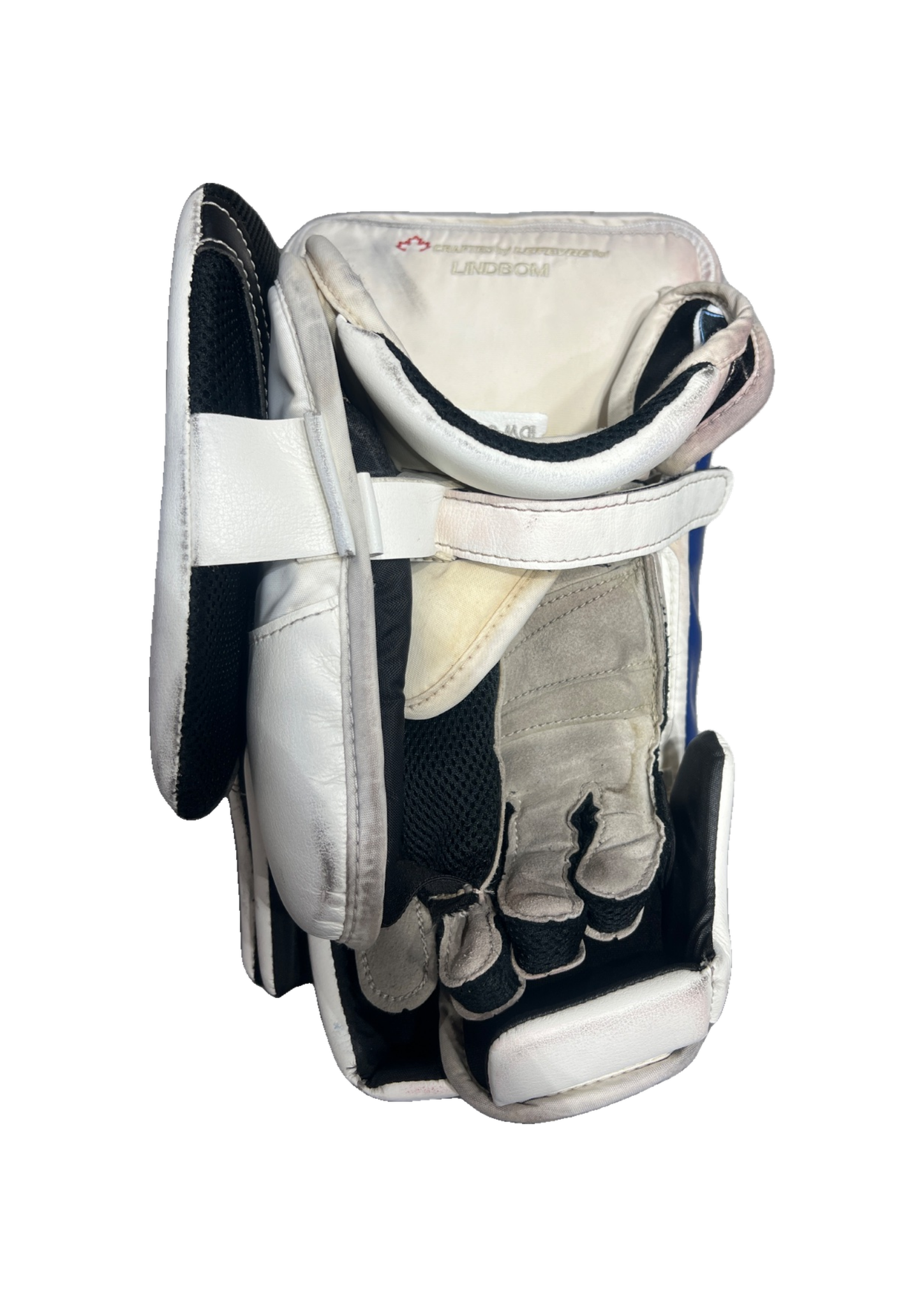Pelicans Pro Return, TRUE Catalyst PX3 (Lindbom), SR, käytetty maalivahdin kilpi - Image 3